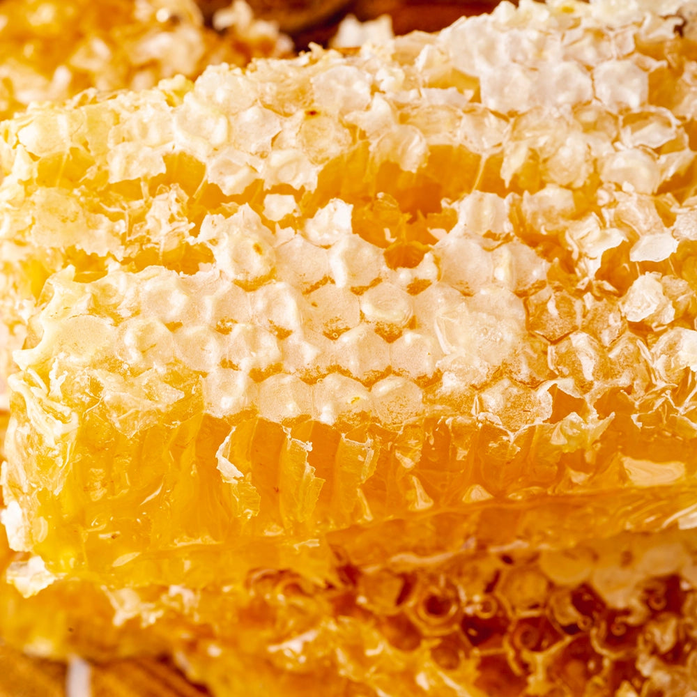 Honey Lip Balm